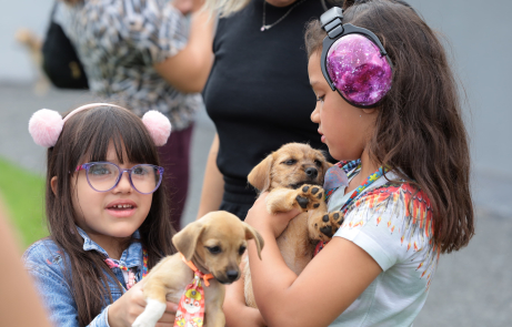 Programa novo da Semma e Assistência Social usa pets na terapia de pessoas com deficiência